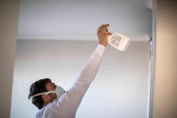 Best Toxic Mold Removal  in Paintsville, KY